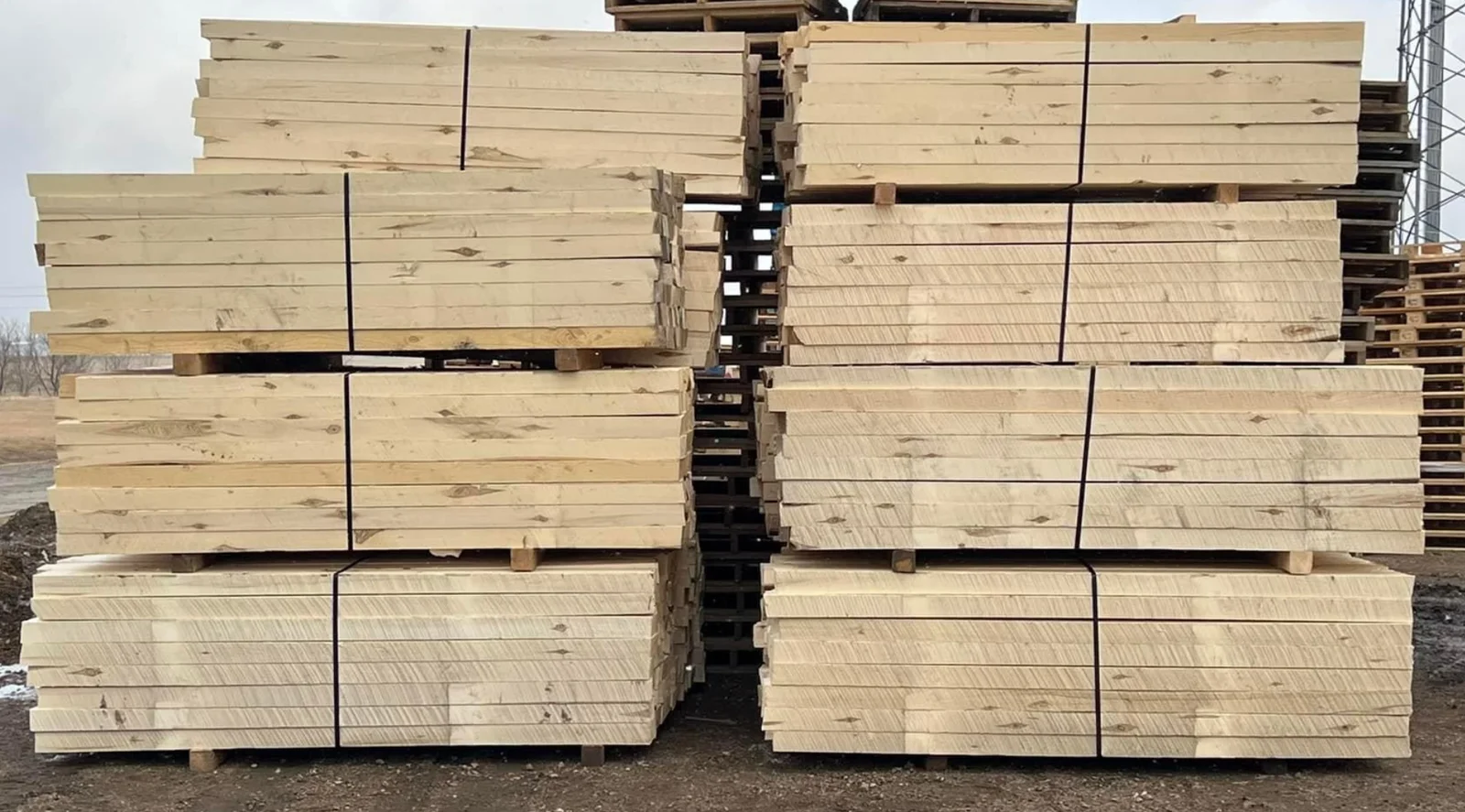 Lumber waiting to be used for pallets at MBN Pallets
